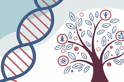 Причины возникновения СДВГ