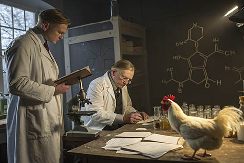 Как открыли витамин K (филлохинон и менахинон)