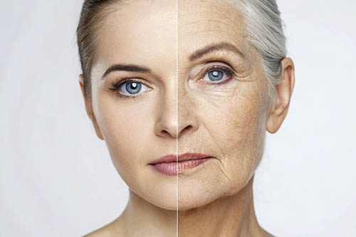 Морфотипы старения лица, биологические и анатомические основы возрастной динамики лица