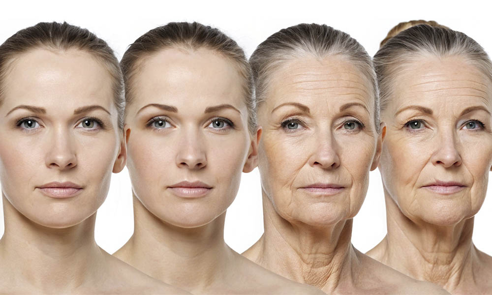 Морфотипы старения лица