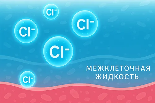 Что такое хлор в биологии