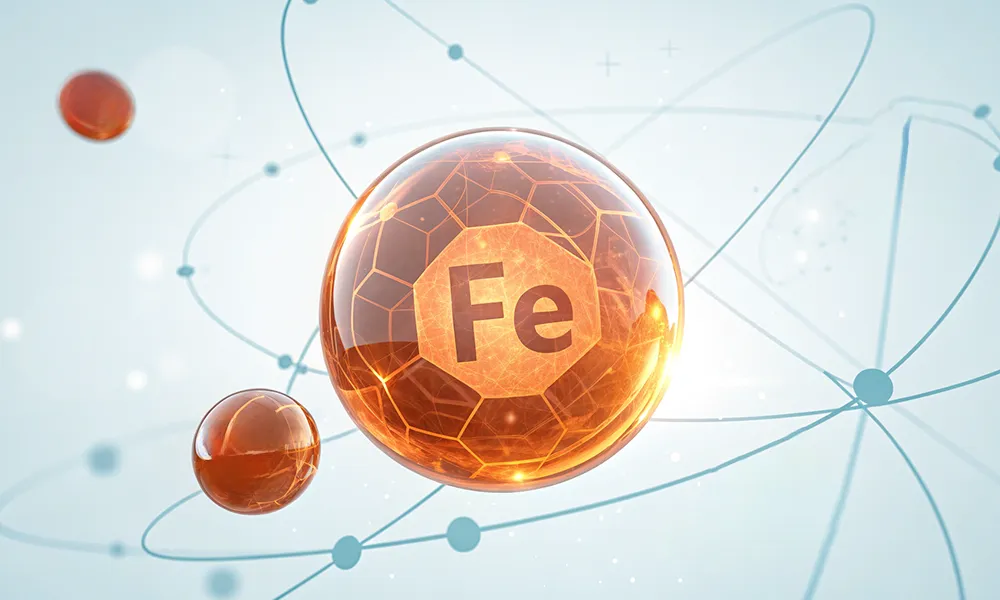 Железо в организме зачем, как, когда и почему важно — особенно для мозга