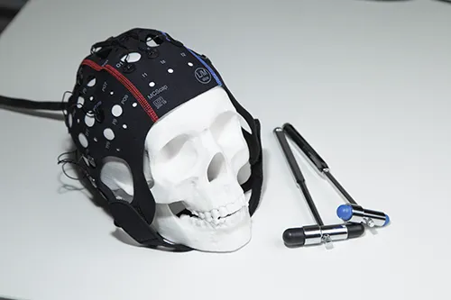 Основные положения теории старения В. В. Фролькиса взгляд через призму науки и жизни заключение